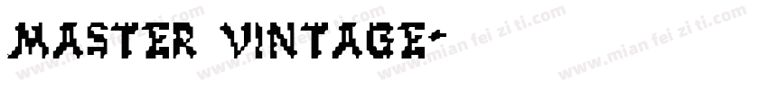 master vintage字体转换